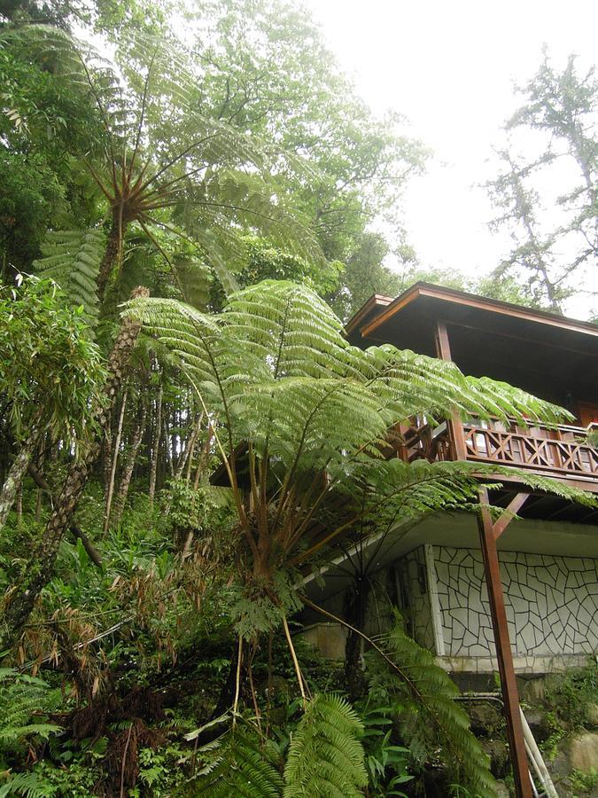 Fumei Bluebird Homestay หนานจวง ภายนอก รูปภาพ